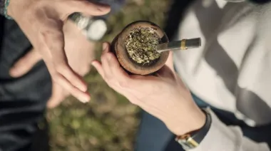 Exportar más yerba, vender mejor: el negocio que busca despegar en Asia