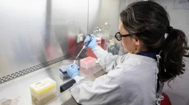 Hantavirus: Argentina envía insumos a Europa para frenar un brote internacional