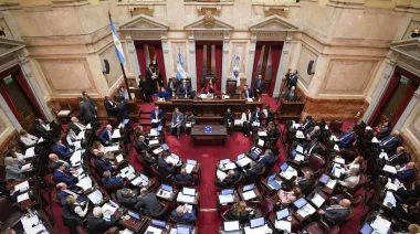 El Senado abrió el debate y Milei enfrenta resistencia por las PASO