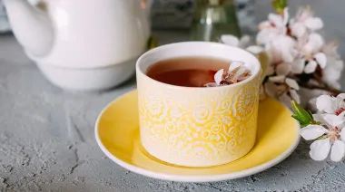 ¿Por qué el té importa más de lo que parece para la economía argentina?