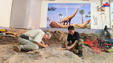 Descubren en Tailandia al dinosaurio más grande del sudeste asiático