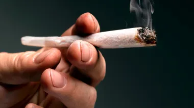 Legalización de la marihuana y amnistía: el polémico proyecto en Diputados