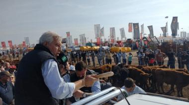 Angus, Hereford y Brangus llegan a AgroActiva con más de 200 cabezas inscriptas