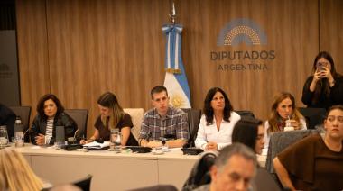 Qué incluye la ofensiva contra Lugones y por qué preocupa a miles de familias