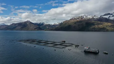 Cómo el cambio climático está alterando la pesca y la vida costera en Chile