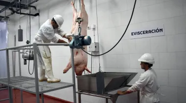 Así es el frigorífico municipal que abre en Laprida y sueña con exportar