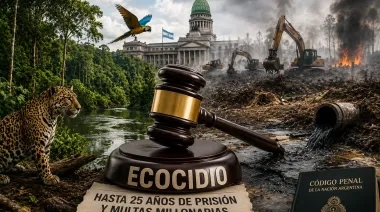 Daños ambientales irreversibles: el proyecto que endurece multas y prisión en Argentina