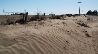 Benegas Lynch llamó "parásitos" a ingenieros que estudian el daño del suelo