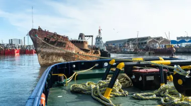 La pesca logró frenar una iniciativa nacional que alarmó a Mar del Plata