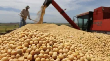 América Latina vuelve a quedar entre China y Estados Unidos: qué lugar ocupa Argentina en la disputa