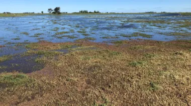 Con el fenómeno El Niño en el horizonte, buscan monitorear las napas en PBA