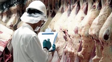Exportaciones de carne: qué pasa con China y por qué Estados Unidos se convirtió en la gran noticia