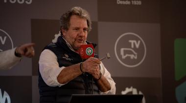 Efecto Bahía Blanca: El remate ganadero que logró precios un 10% arriba del mercado