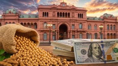 Trigo y soja: cuánto se queda el Estado y cuánto va al bolsillo del productor
