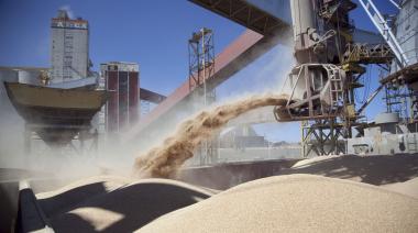 Soja y girasol: la molienda del Gran Rosario repunta y mejoran los números industriales