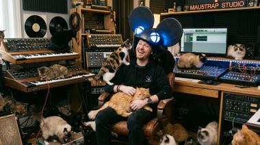 Deadmau5 financia vacunas y cuidados para 27 gatos que esperan adopción