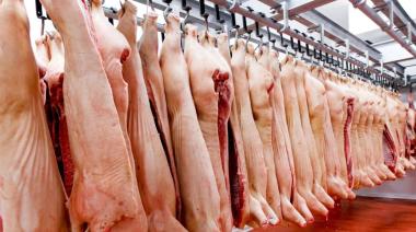 Decomisaron más de 100 kilos de carne porcina que había sido faenada de manera clandestina