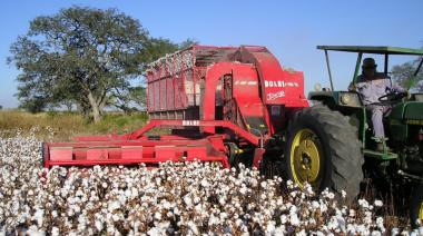 Paritaria del algodón: cuánto cobrarán los trabajadores desde septiembre