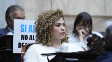 "Campaña anti-Argentina" y España: qué exigió Arrieta a Milei en Diputados