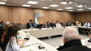 Diputados empezó a discutir la ley que endurece las penas contra las barrabravas