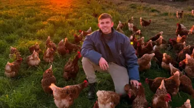 Perdió 80% de sus gallinas, se repuso y produce 300 huevos de campo por día