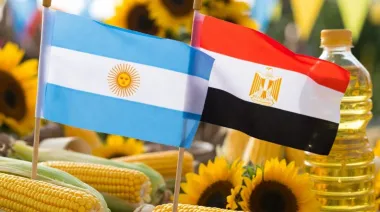 FMI y comercio exterior: el vínculo que une a Argentina y Egipto más allá del fútbol