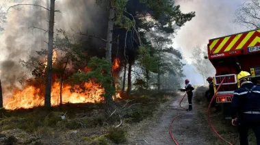 Incendio en Fontainebleau: dos detenidos y 1.300 hectáreas devastadas en Francia