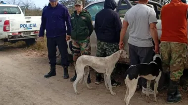 Buscan prohibir y endurecer penas por caza no autorizada en campos de PBA