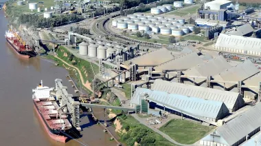 Récord agroindustrial: qué productos argentinos están ganando mercado en el exterior