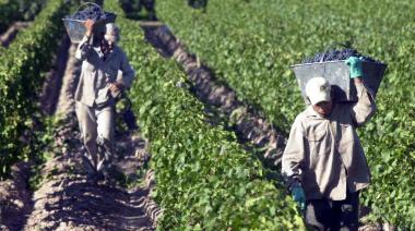 Paritarias: cuánto perdió el sueldo vitivinícola, según el cálculo de FOEVA