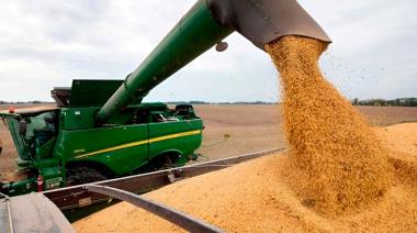 No fueron los precios: qué explica el fuerte crecimiento exportador del agro