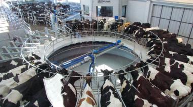 CREA advierte por la lechería: más producción, pero con deudas y precios bajos