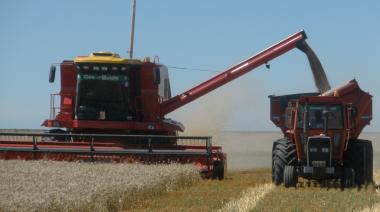 La semana del agro: una sonrisa con el trigo, la interna en la SRA y un dato sobre la carne