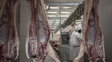 El dato que Agricultura oculta sobre las exportaciones de carne porcina