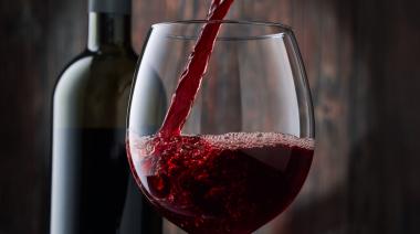Crisis en el Valle de Uco: la meca del vino argentino produce a pérdida