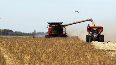 El Niño: advierten por su impacto en soja y maíz de Argentina y Brasil