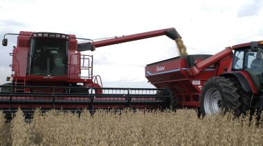 La BCBA actualizó la campaña de granos: cómo vienen soja, maíz, sorgo y trigo
