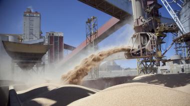 Alivio para la industria: la UE frenó una medida que afectaba a la soja argentina