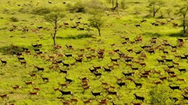 UNESCO sumó seis sitios al Patrimonio Mundial en Peligro por las guerras