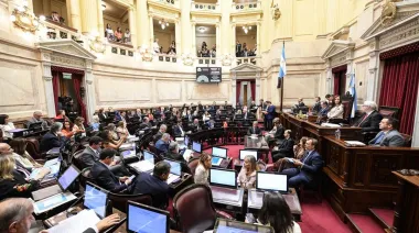 Ley de Tierras: el peronismo denunció una "entrega de la soberanía" y llamó a las calles