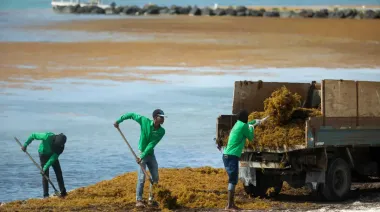 Sargazo como industria: biogás y materiales frente al riesgo de los metales