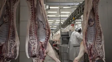 Santa Fe apuesta a la carne de cerdo con cortes a $7.900 y apunta al consumo interno