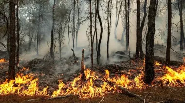 Reino Unido activó una reunión de emergencia por sequía e incendios graves