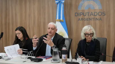 Represión en debate: LLA faltó a la reunión y la oposición apuntó contra Monteoliva