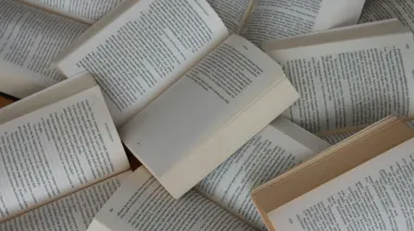 El Caribe colombiano en la literatura contemporánea