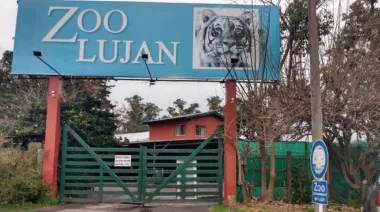 Operativo histórico: 30 felinos del ex Zoo de Luján son trasladados a santuarios