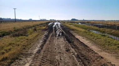 Caminos rurales en desuso: Municipios podrían alquilarlos para "frenar" usurpaciones