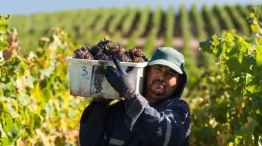 Reforma laboral: qué preocupa a los trabajadores vitivinícolas según FOEVA