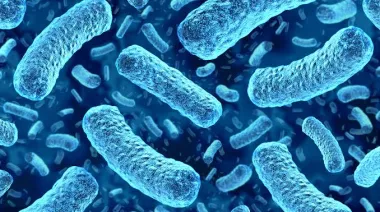 Estados Unidos supera 15.700 casos de Cyclospora: 13 veces la temporada de 2025