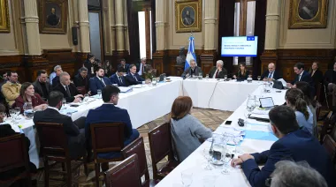 Biocombustibles: un proyecto de Capitanich agitó el debate en el Senado